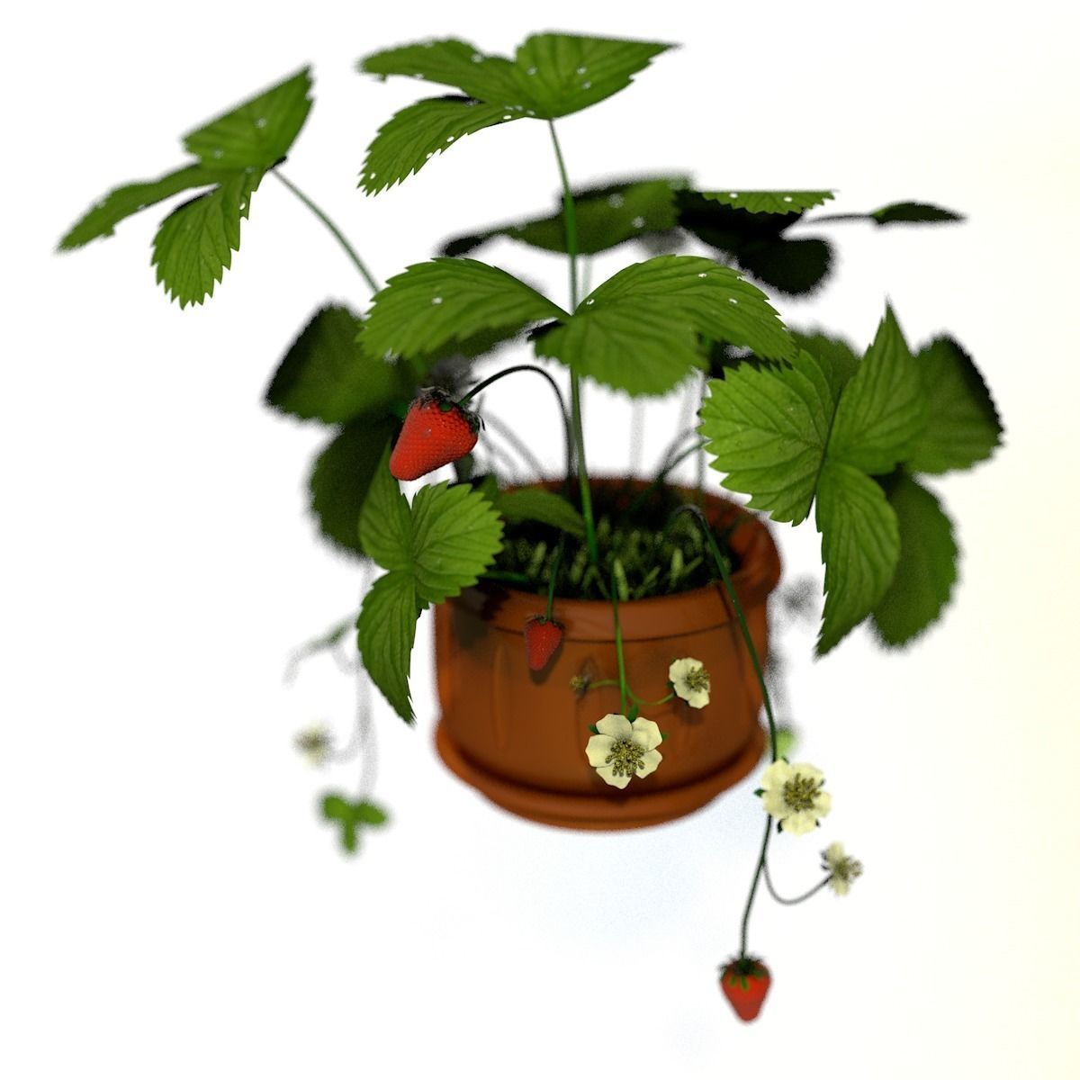 Strawberries in a pot 3D model_4