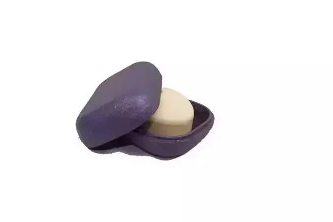 Soap Dish Standard 3D print model