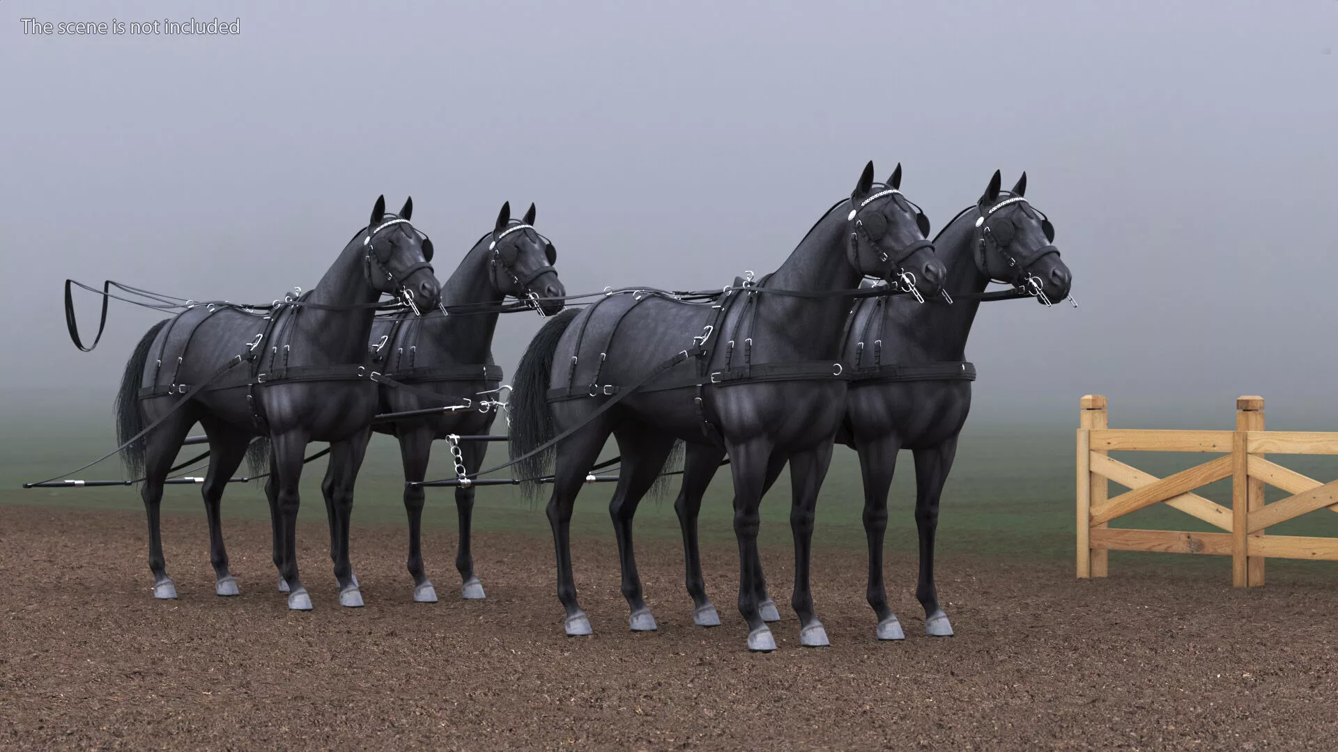 Four Black Horses in Breast Collar Harness 3D model