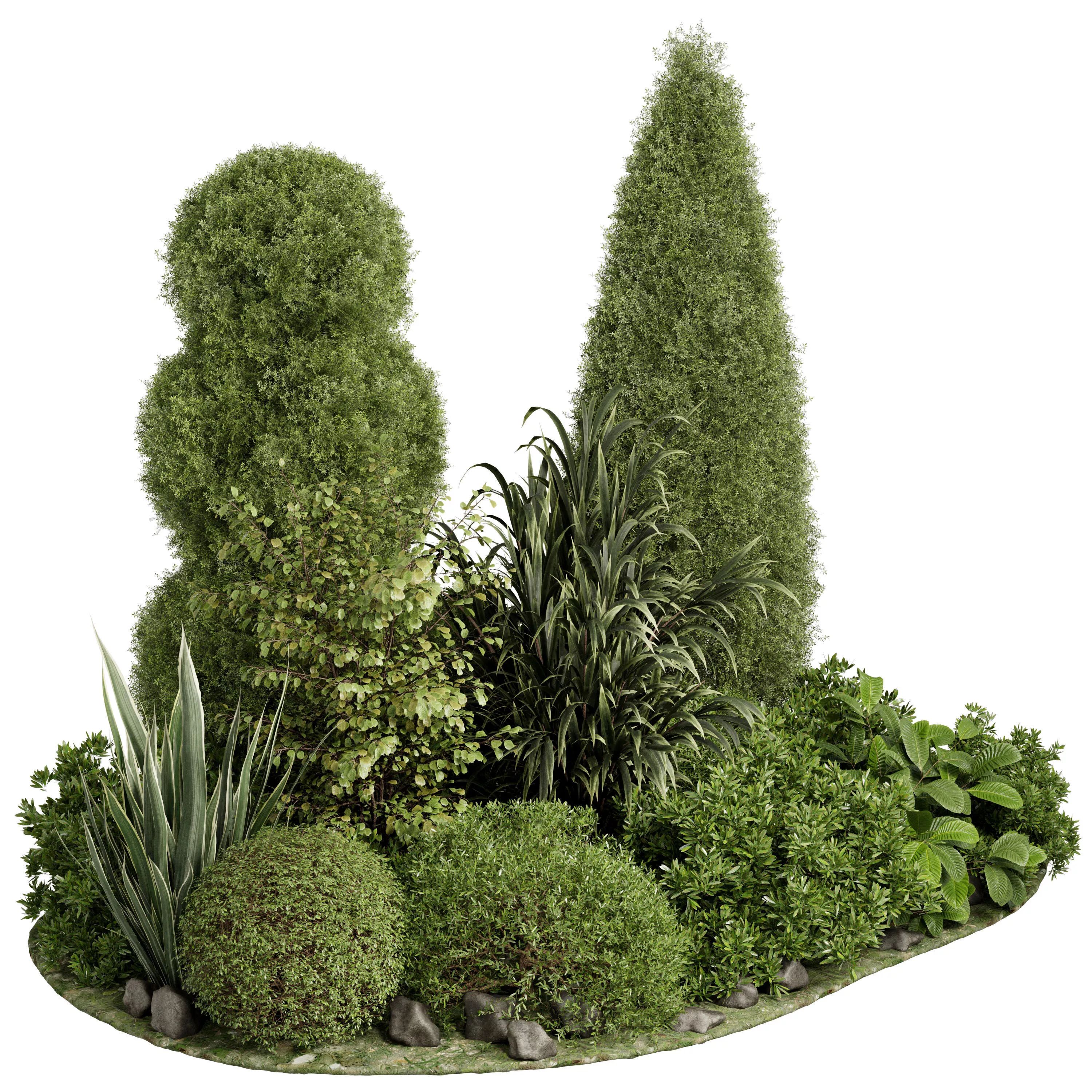 Topiary ball Pine Plant Garden - Outdoor Plants 240 3D model