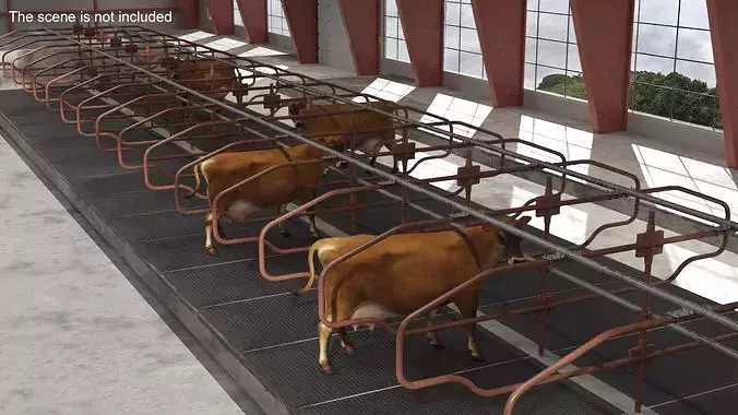 Cow Resting Area 3D model 2