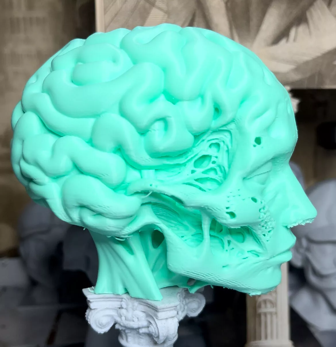 Mindscape Skull 3D print model