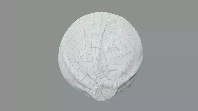 White Cabbage High-Low-Poly Photogrammetry  Low-poly 3D model 4