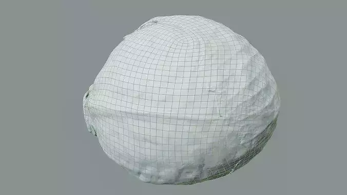 White Cabbage High-Low-Poly Photogrammetry  Low-poly 3D model 6