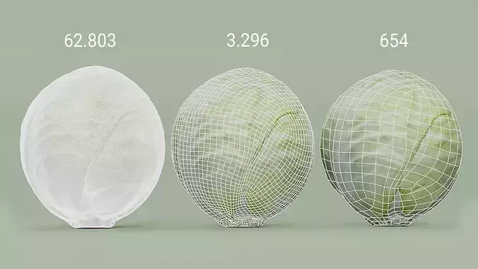 White Cabbage High-Low-Poly Photogrammetry  Low-poly 3D model 2