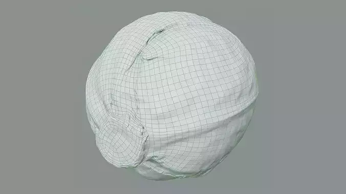 White Cabbage High-Low-Poly Photogrammetry  Low-poly 3D model 5