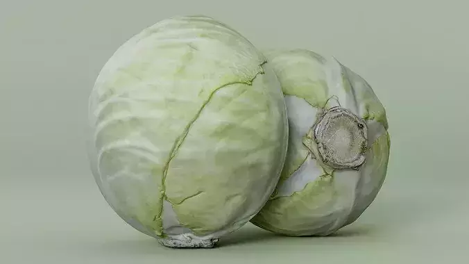 White Cabbage High-Low-Poly Photogrammetry Low-poly 3D model