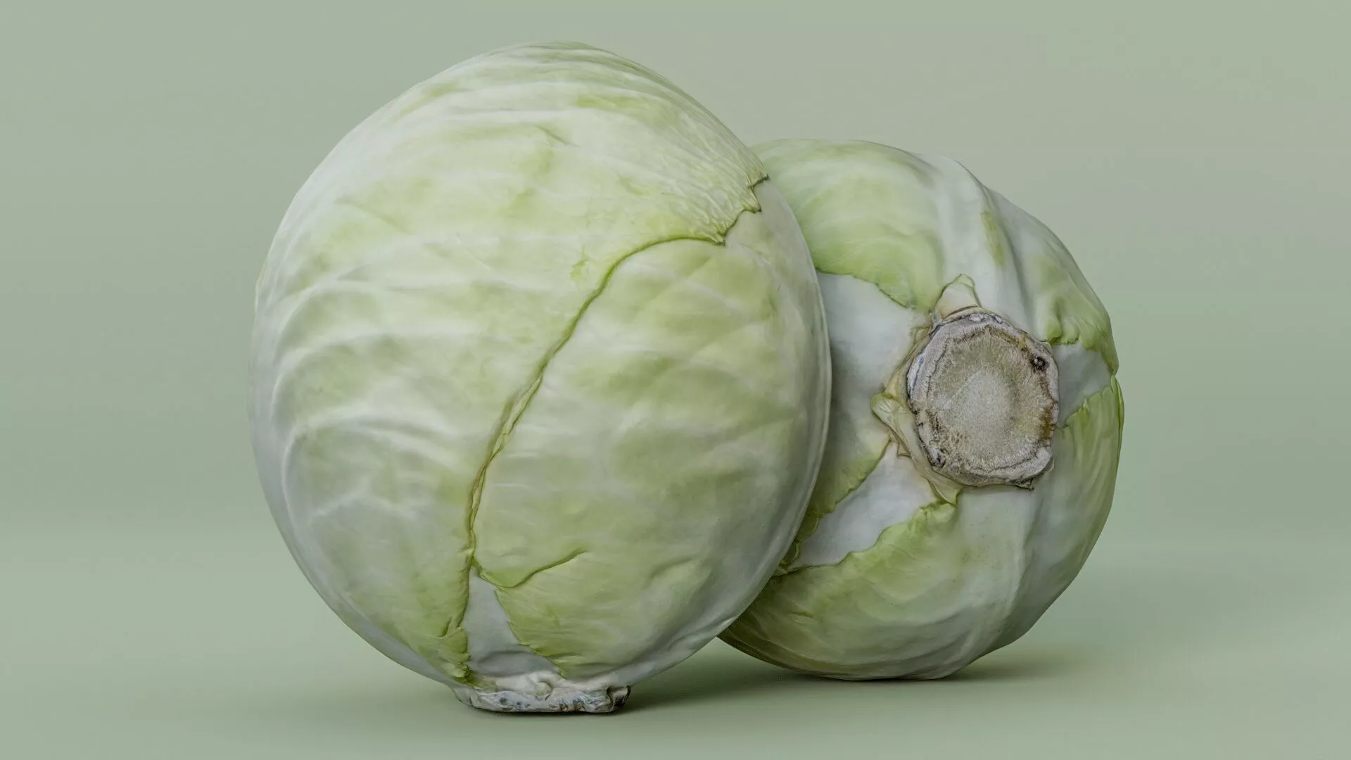 White Cabbage High-Low-Poly Photogrammetry Low-poly 3D model