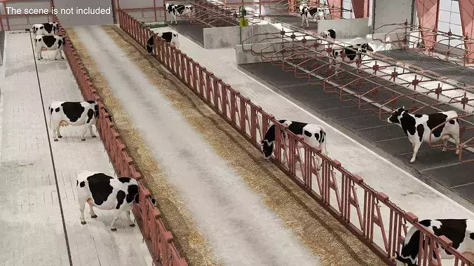 Cattle Shed 3D model 3