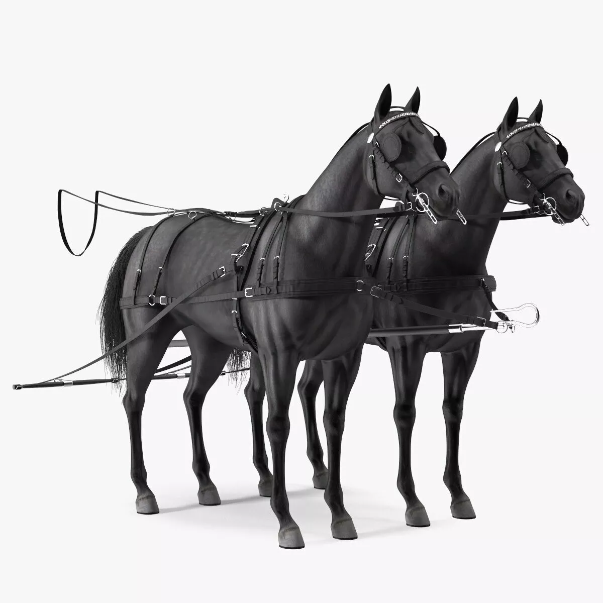 Pair of Black Breast Collar Harness 3D model