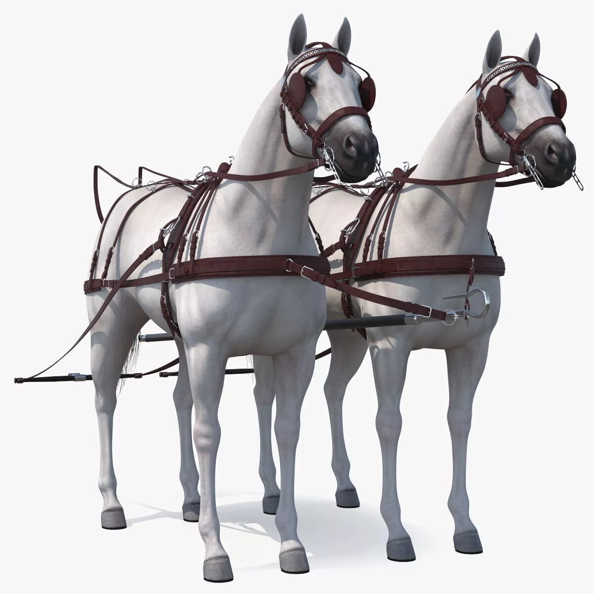 Pair of White Breast Collar Harness 3D model