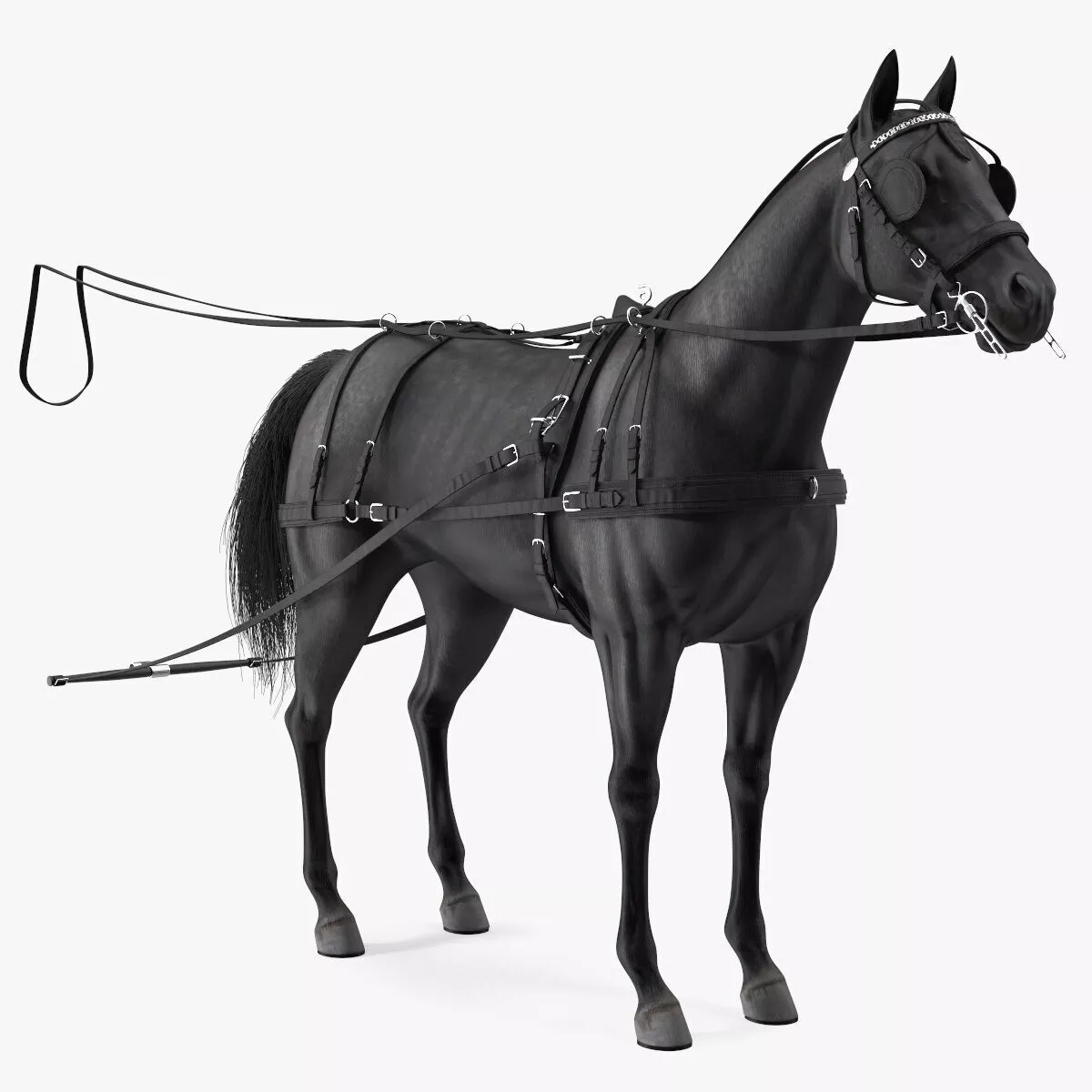 Black Horse Single Driving Harness 3D model