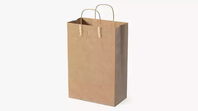 Brown Paper Shopping Bag 3D model