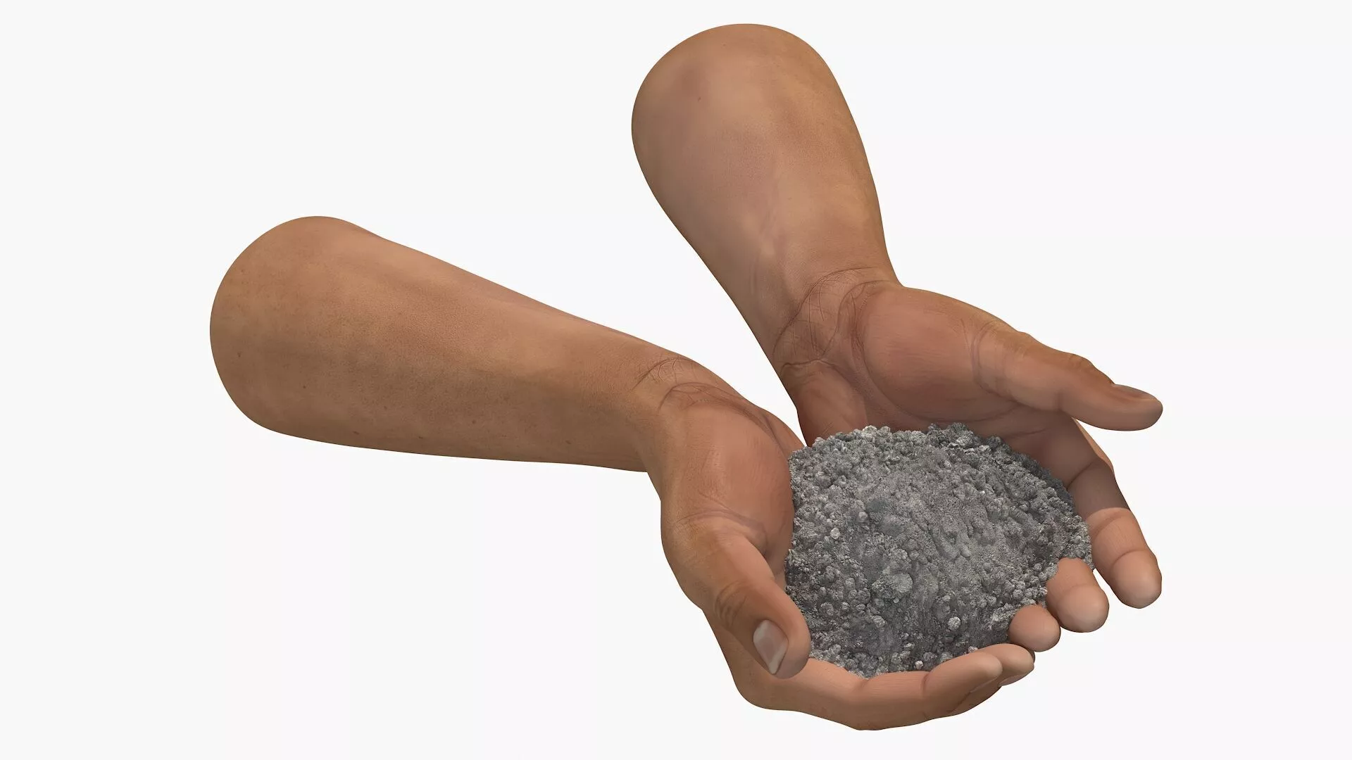 Hands Holding Ashes 3D model