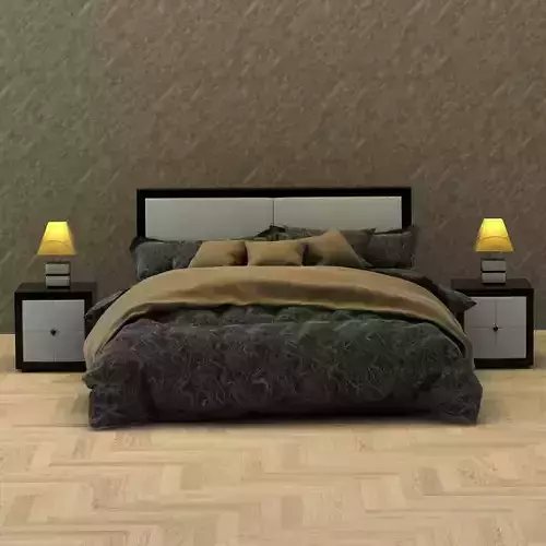 Modern bed