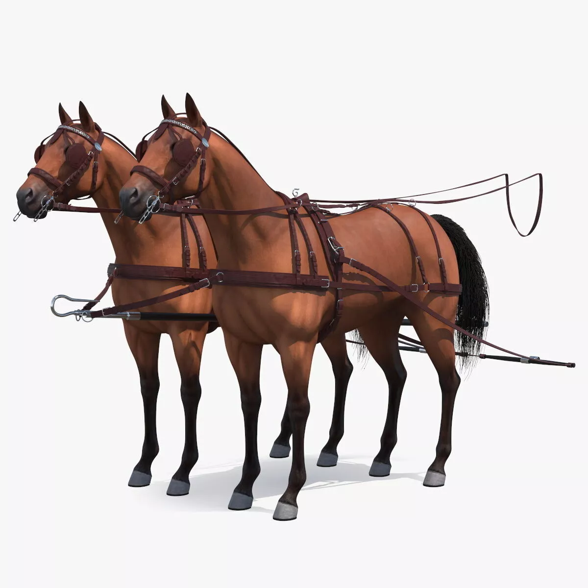 Pair of Breast Collar Harness 3D model