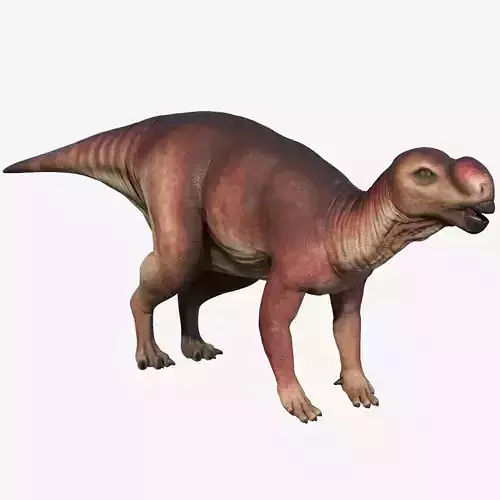 Muttaburrasaurus dinosaur Low-poly 3D model