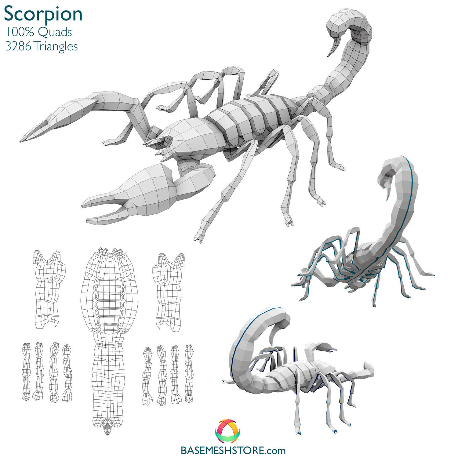 32 Animals Base Meshes Low-poly 3D model_18