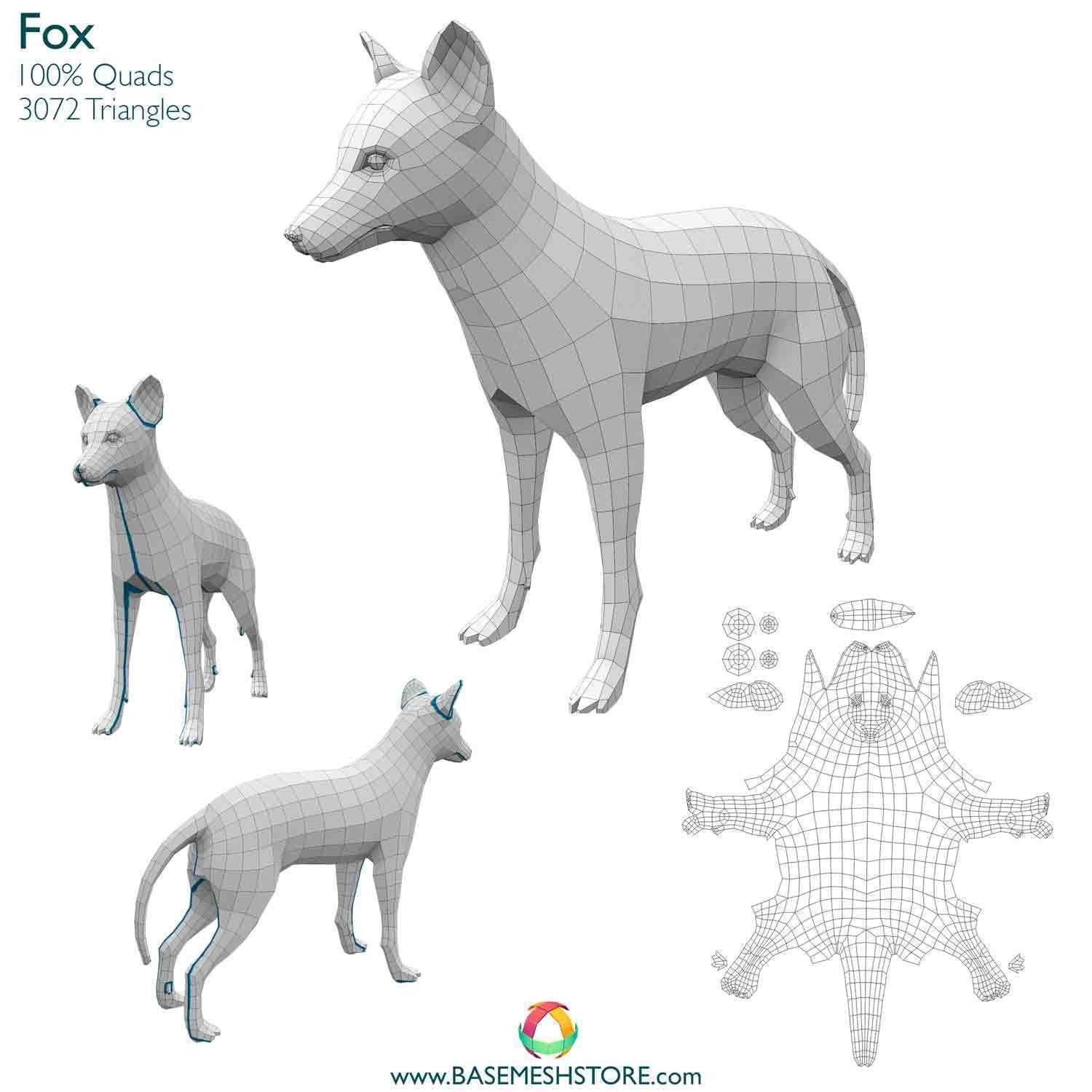 32 Animals Base Meshes Low-poly 3D model_26