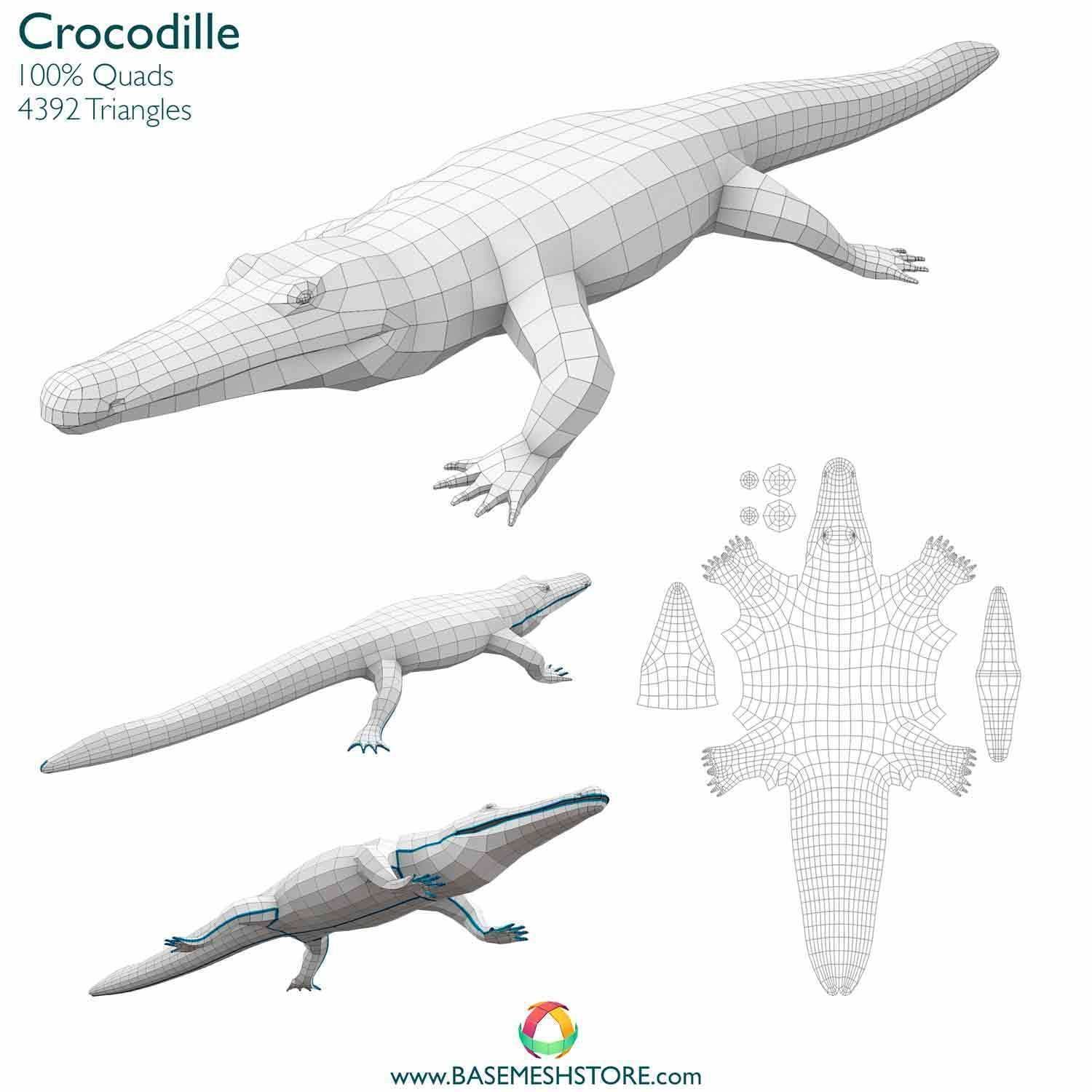 32 Animals Base Meshes Low-poly 3D model_22