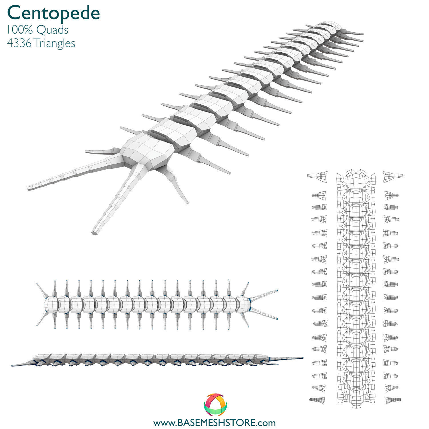 32 Animals Base Meshes Low-poly 3D model_7