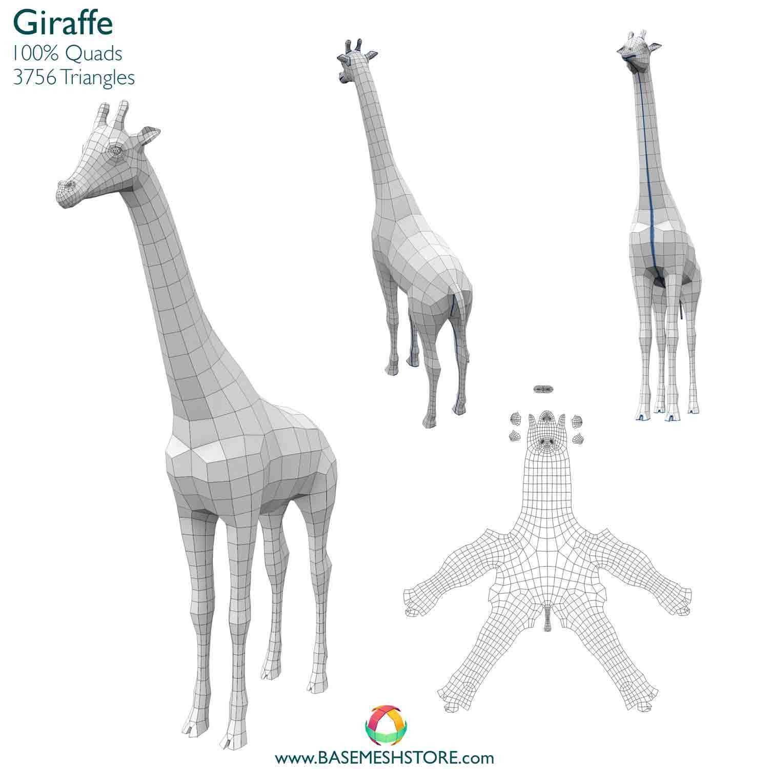 32 Animals Base Meshes Low-poly 3D model_23