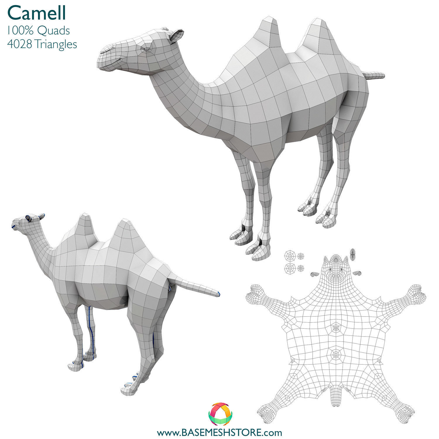 32 Animals Base Meshes Low-poly 3D model_2