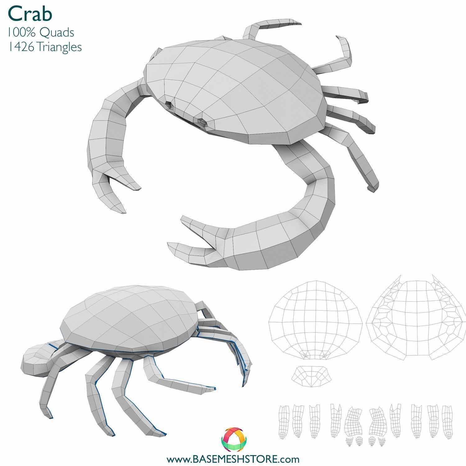 32 Animals Base Meshes Low-poly 3D model_14