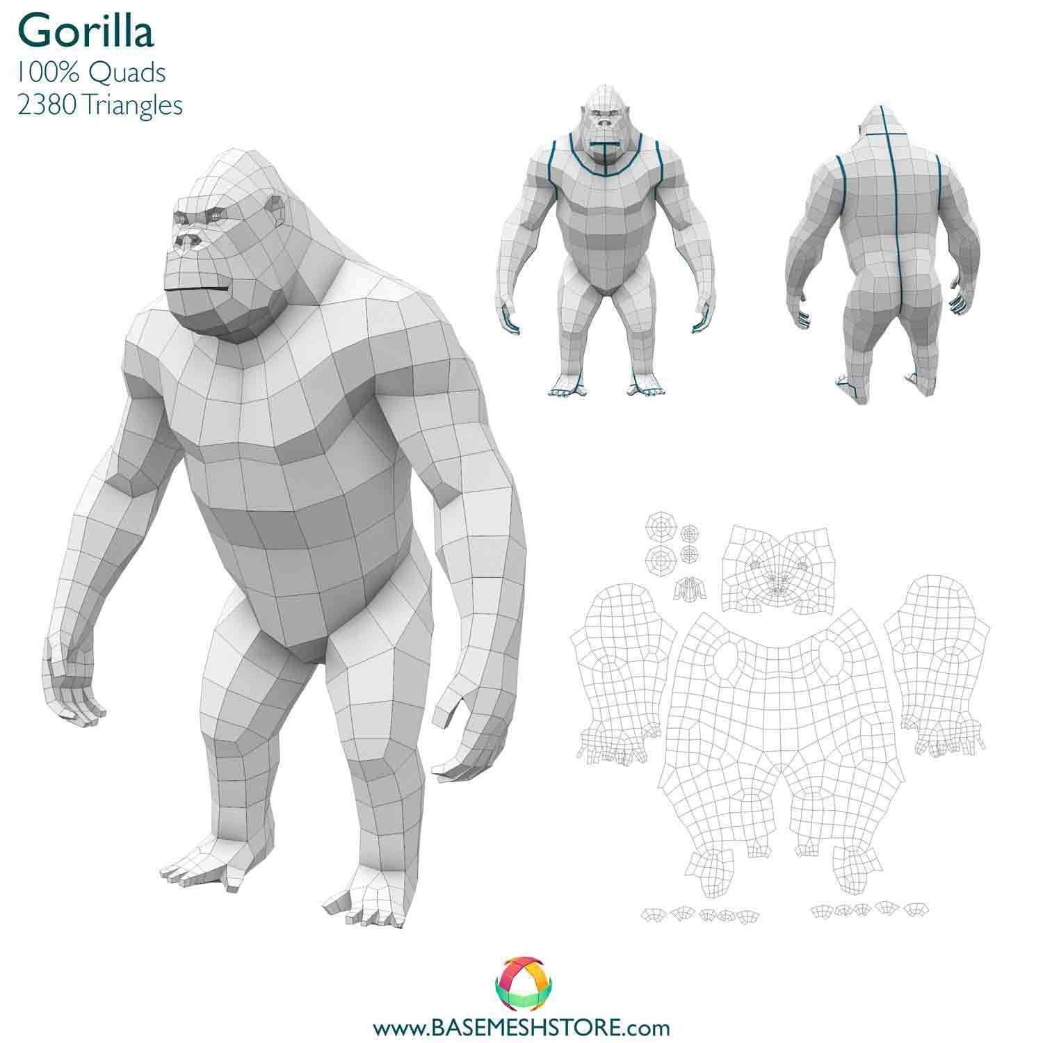 32 Animals Base Meshes Low-poly 3D model_29