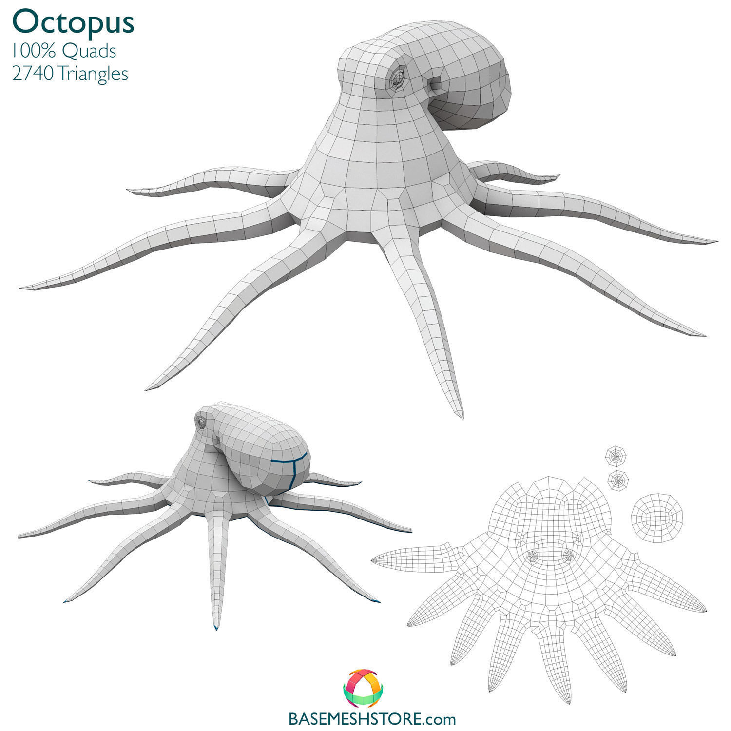 32 Animals Base Meshes Low-poly 3D model_10