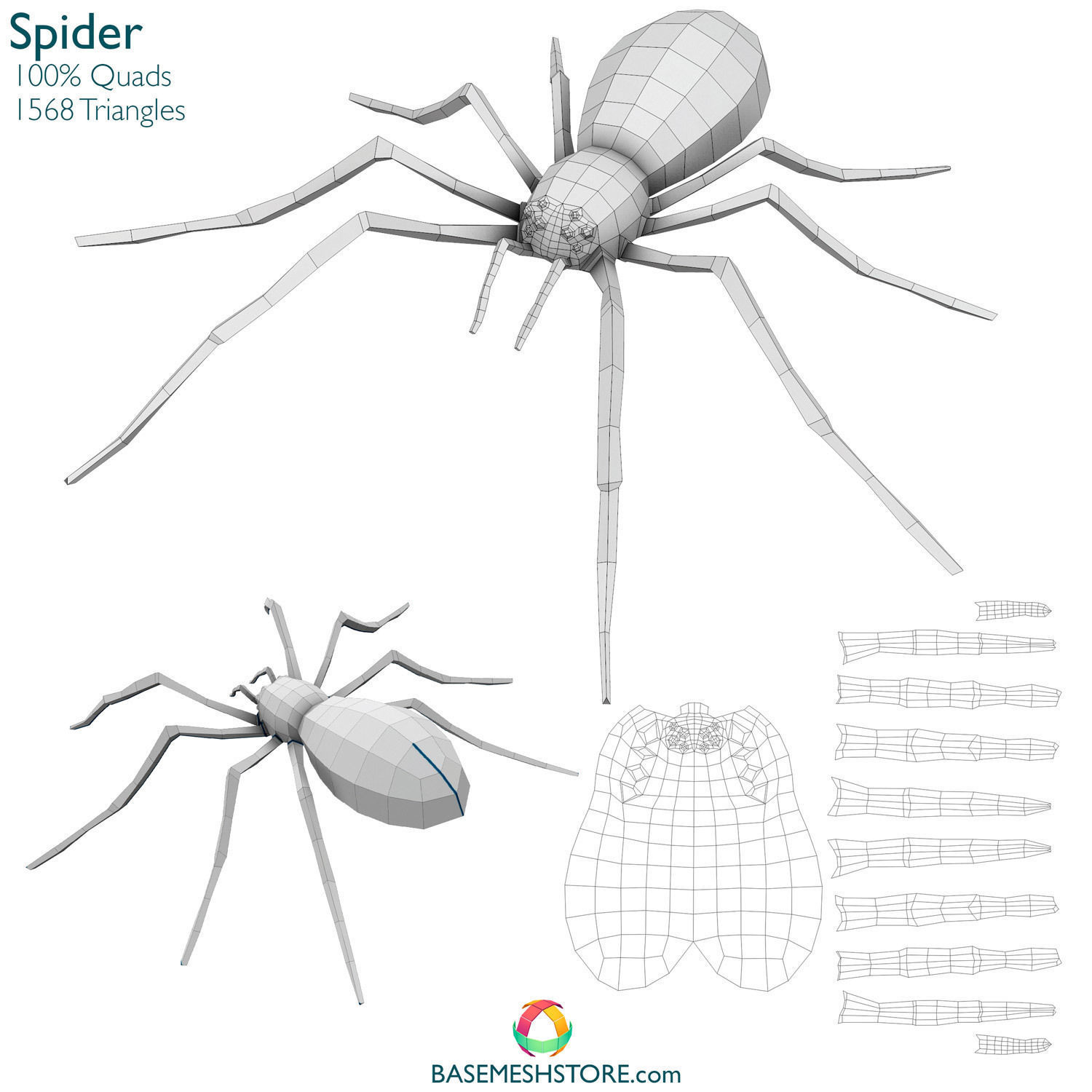 32 Animals Base Meshes Low-poly 3D model_30