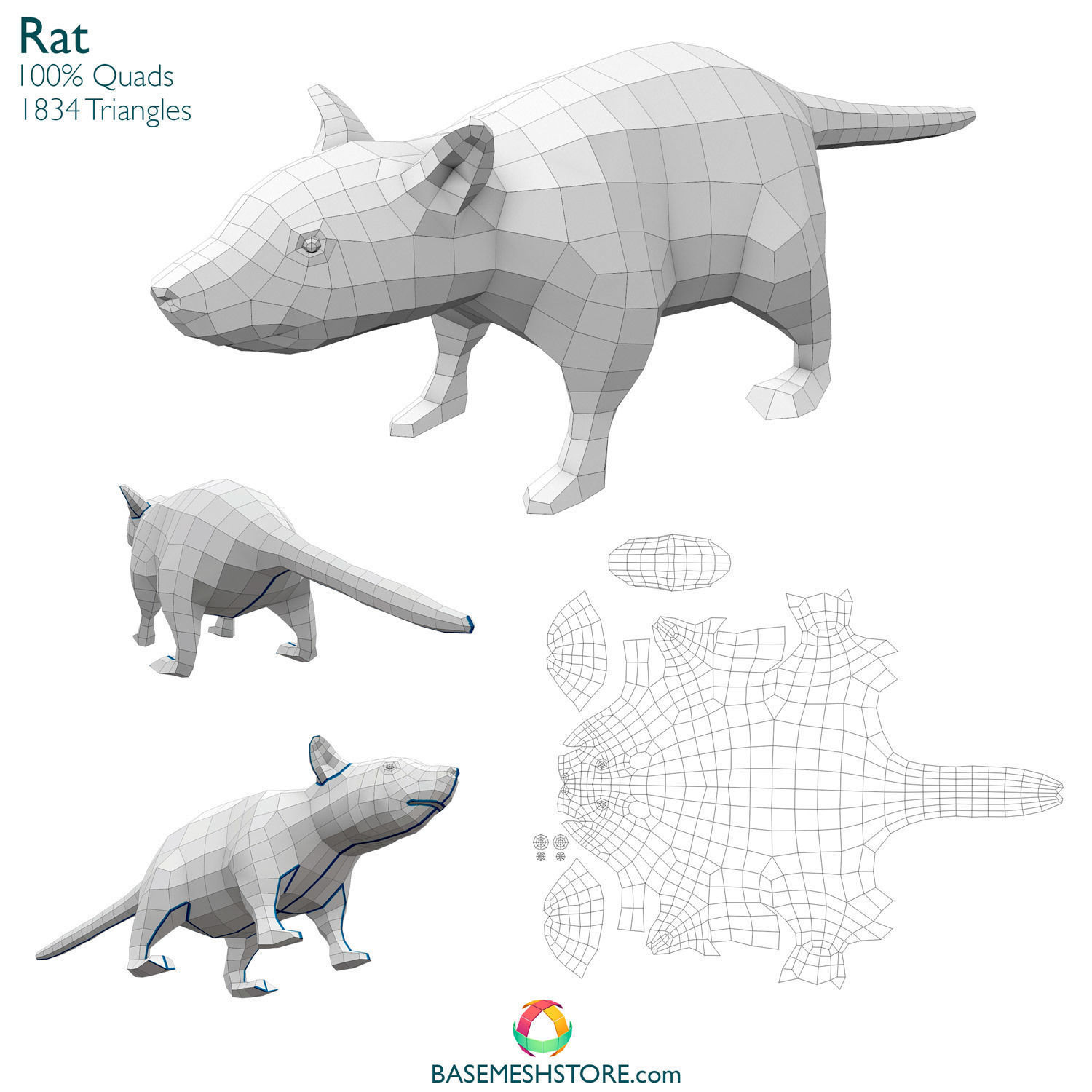 32 Animals Base Meshes Low-poly 3D model_27
