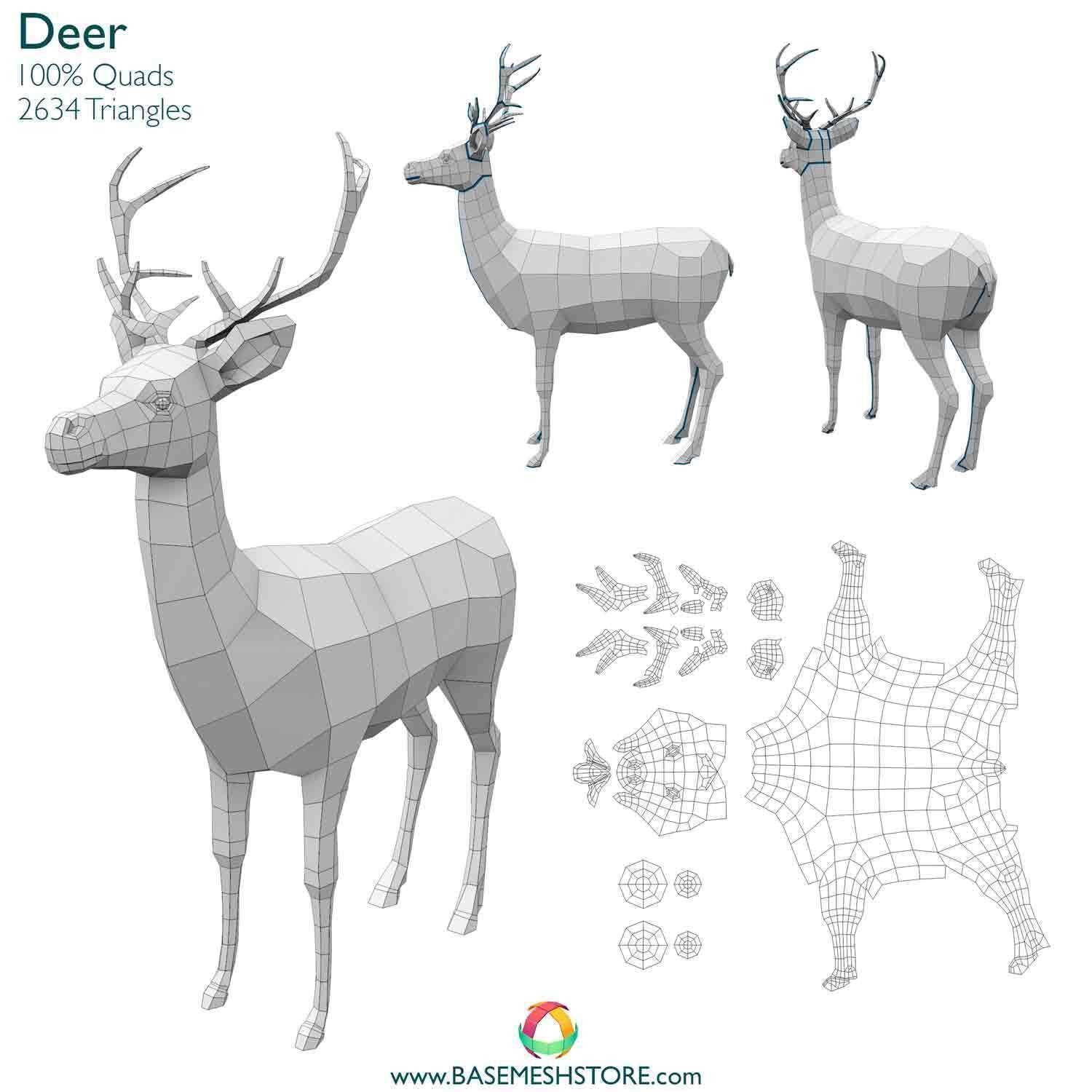 32 Animals Base Meshes Low-poly 3D model_15