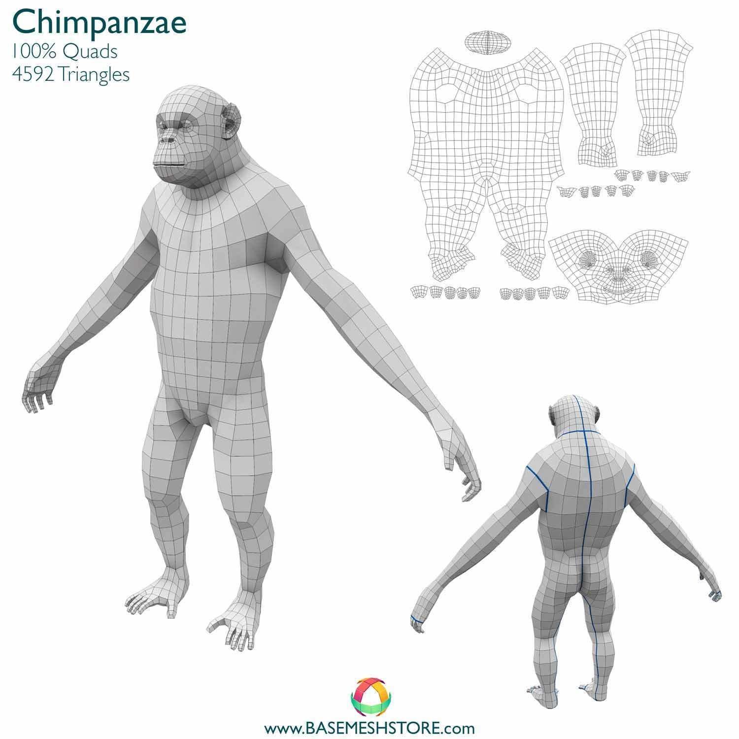 32 Animals Base Meshes Low-poly 3D model_8