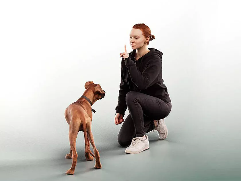 Adriana and Milo - 14122 Woman Casual Kneeling Dog Low-poly 3D model
