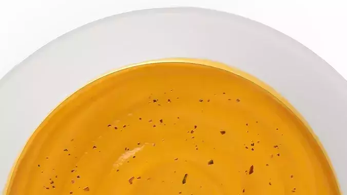 Pumpkin Soup 3D model 7