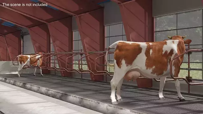 Cow Stalls 3D model 2