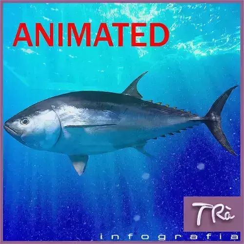TUNA BLUEFIN 3D model
