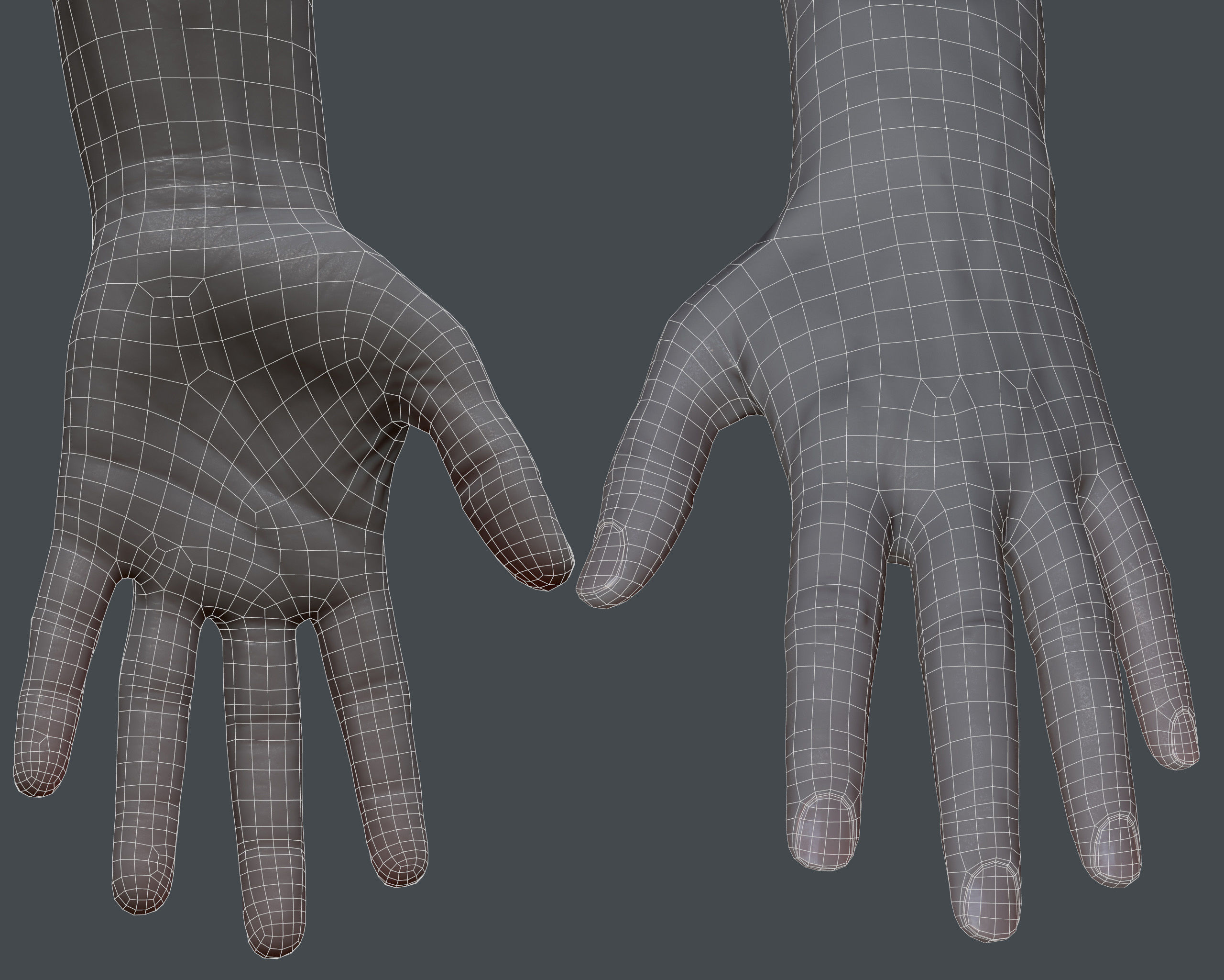 FPS Arm  - Male Low-poly 3D model_12