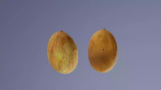 Melons lowpoly and 3dscan Low-poly 3D model 6