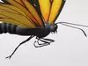 3D model Fully Rigged Animated Realistic Fluttering Butterfly VR / AR ...