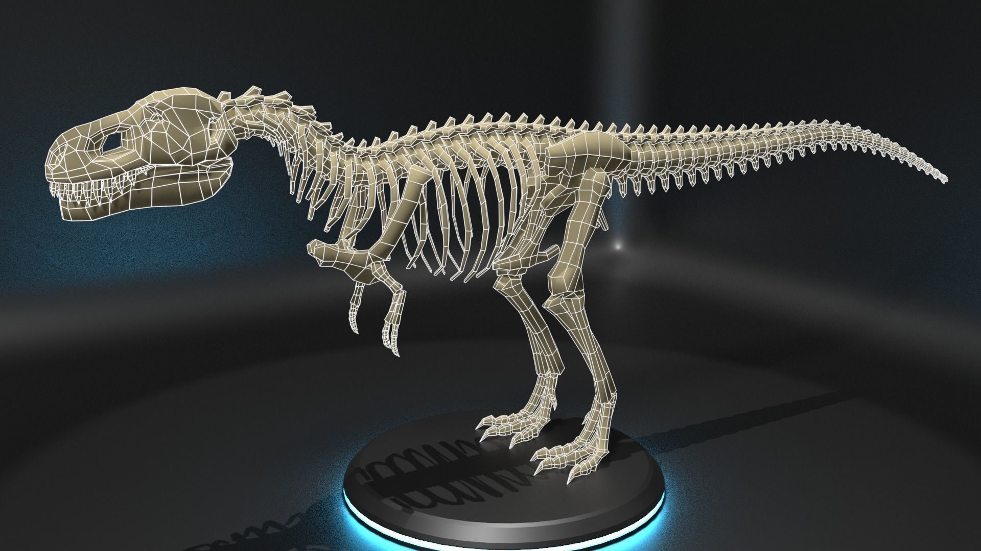 Tyrannosaurus Skeleton - Blockout Low-poly 3D model_2