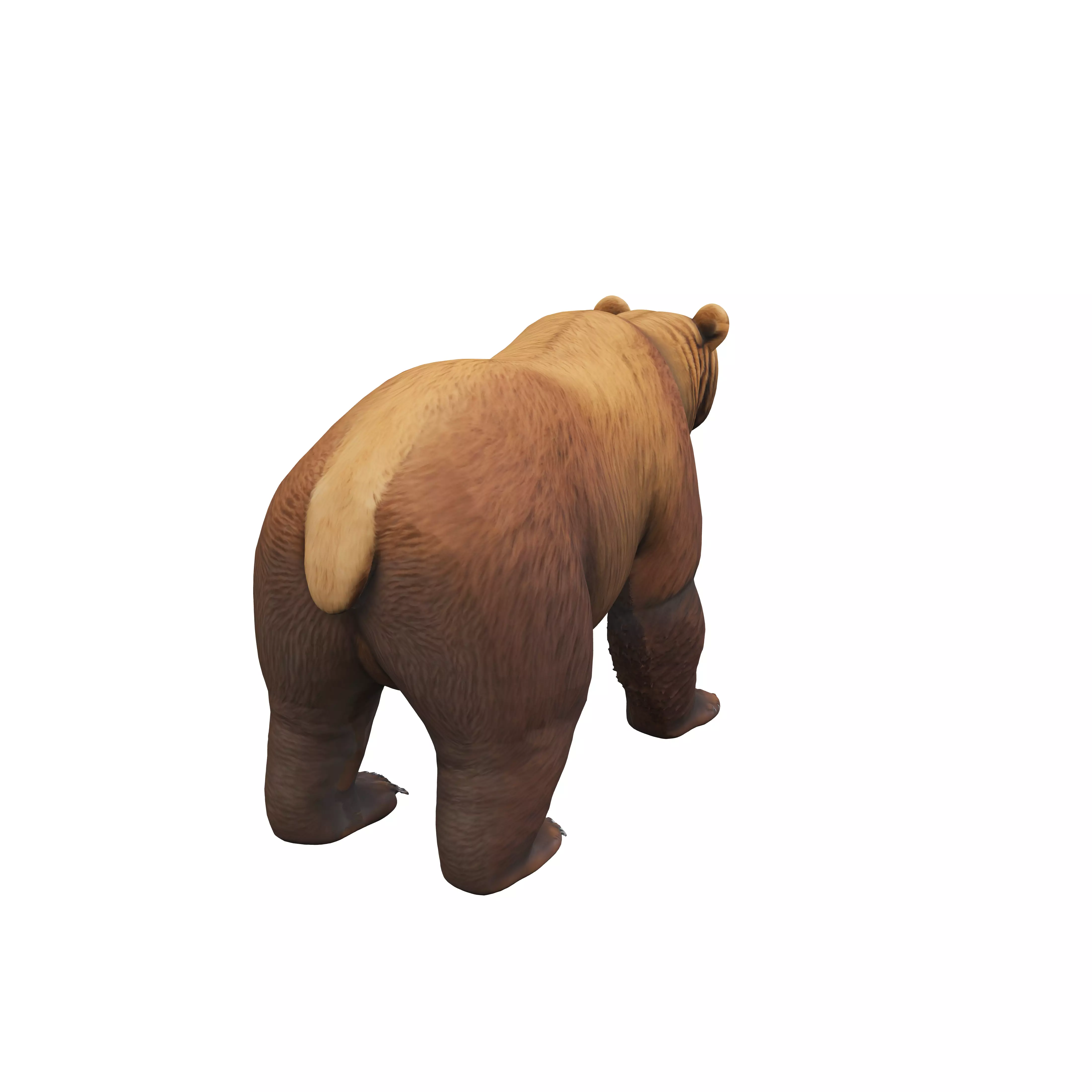 advanced realism standing grizzly bear high quality high deta... 3D model