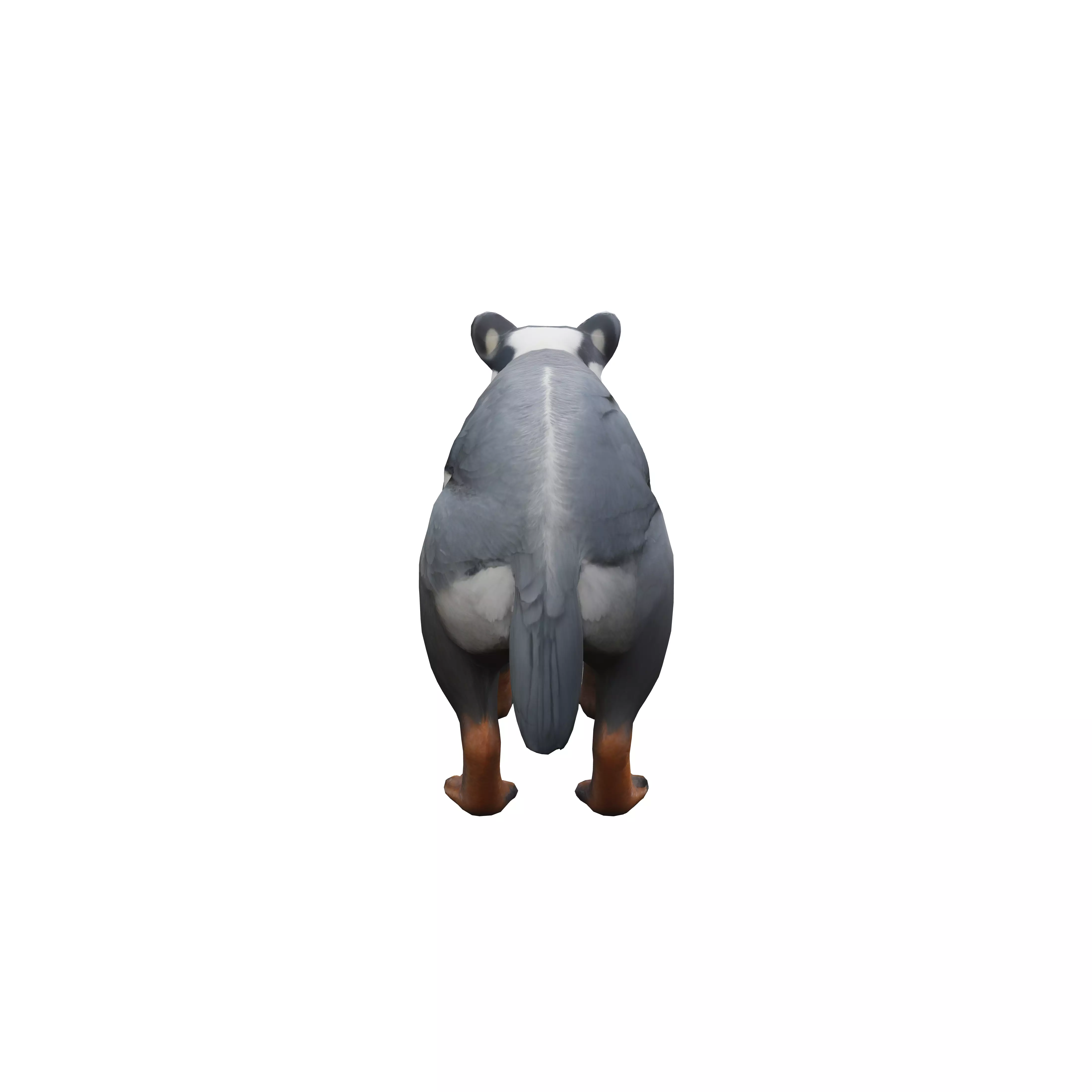 badger heron hybrid photorealism masterpiece high resolution ... 3D model