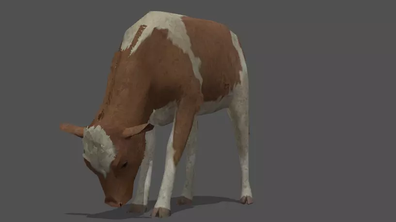 Animated Calf Rigged 3D Animal Model Low-poly 3D model