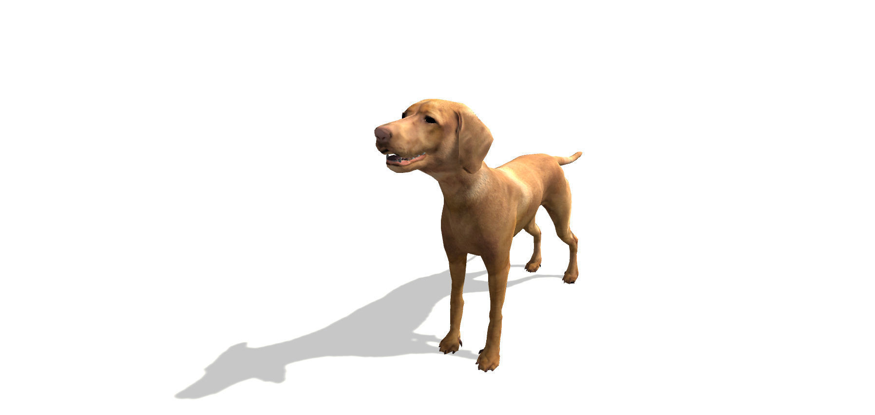 Vizsla Dog Low-poly 3D model_1