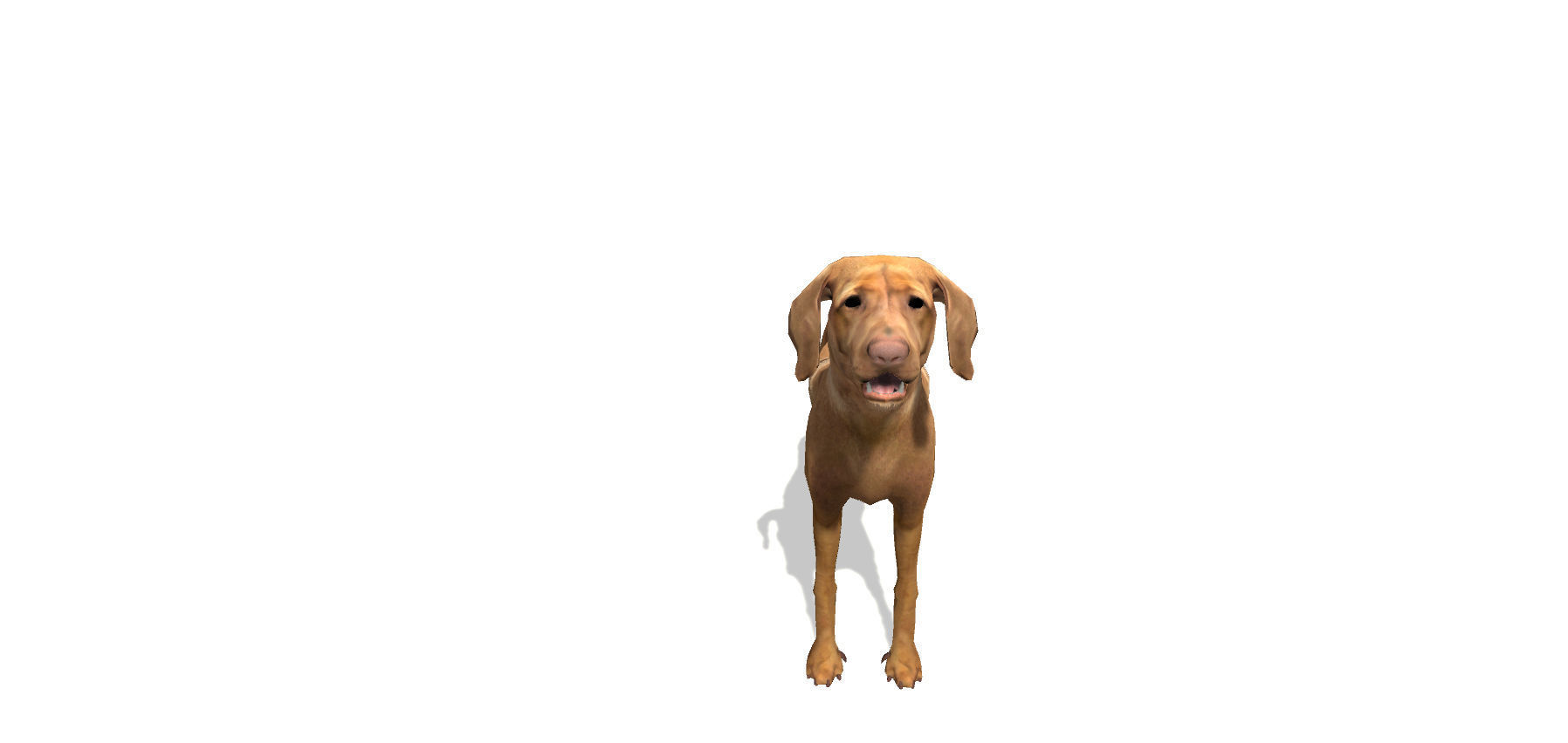 Vizsla Dog Low-poly 3D model_4