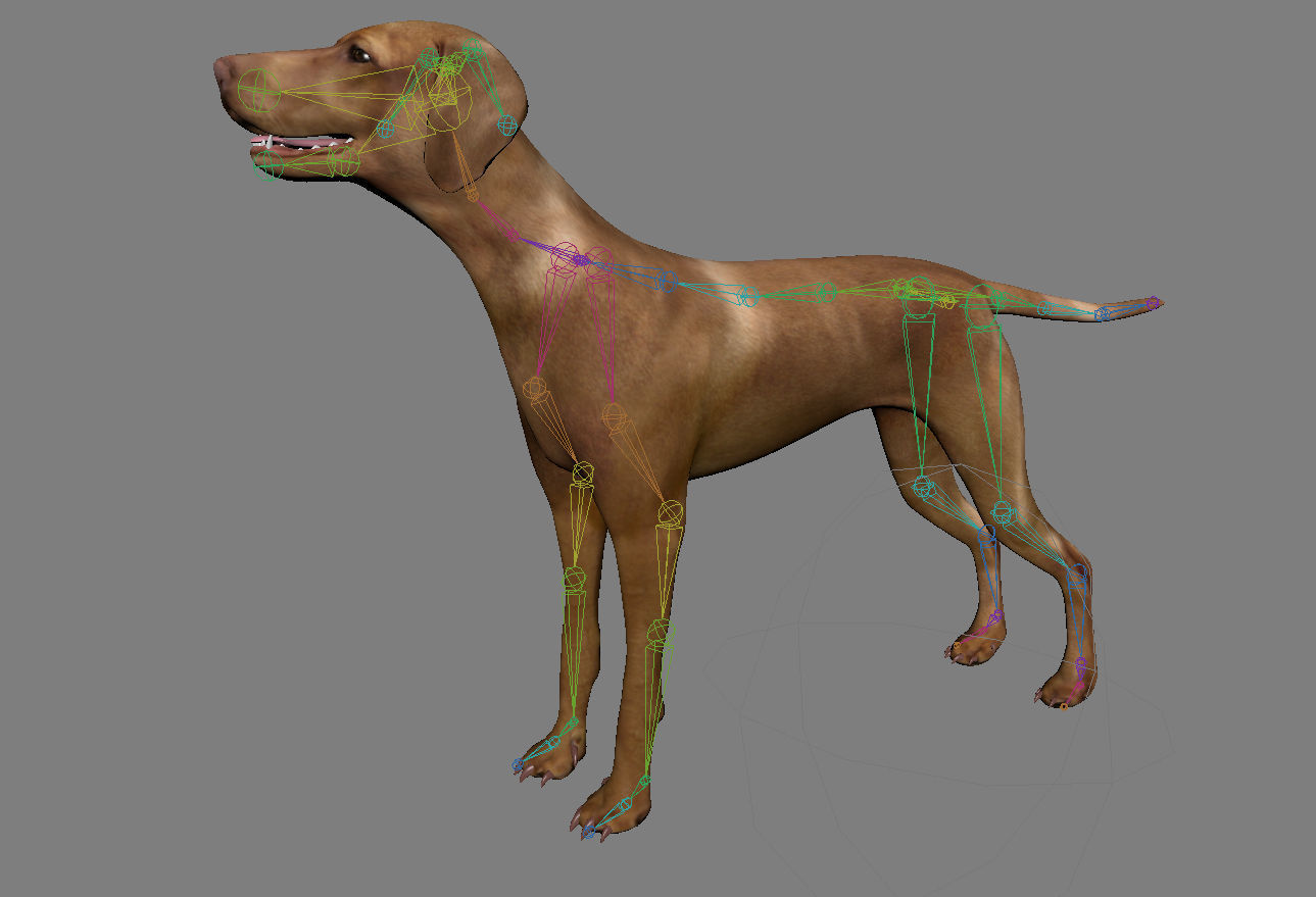 Vizsla Dog Low-poly 3D model_3