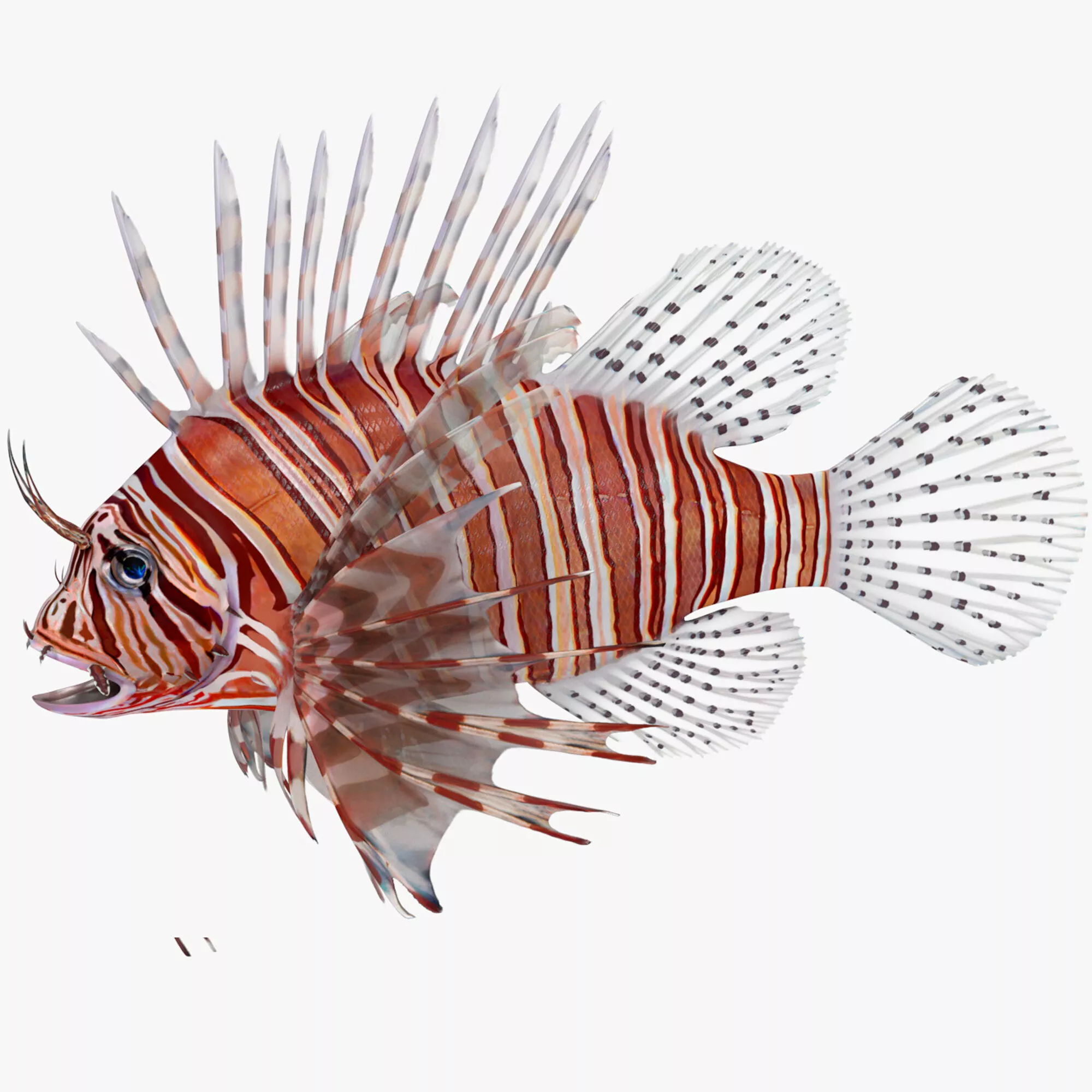 Lionfish Marine Creature Rigged for Maya 3D model