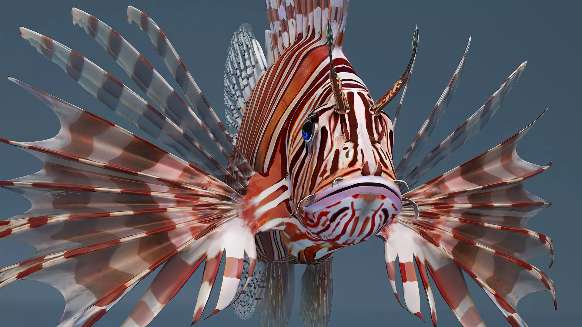 Lionfish Marine Creature Rigged for Cinema 4D 3D model